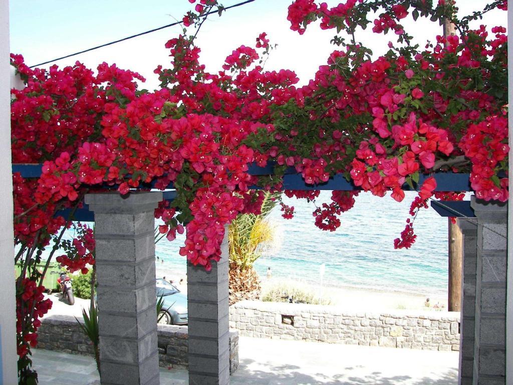 Theoxenia Chios Apartments Paralia Agias Foteinis Exteriér fotografie